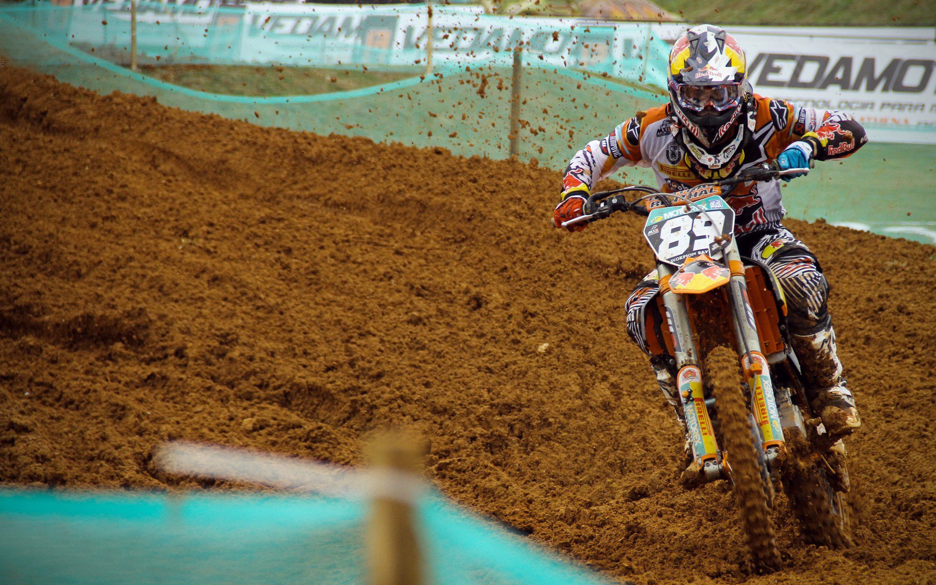 “徒步定向越野：东部新区赛场挑战极限耐力”