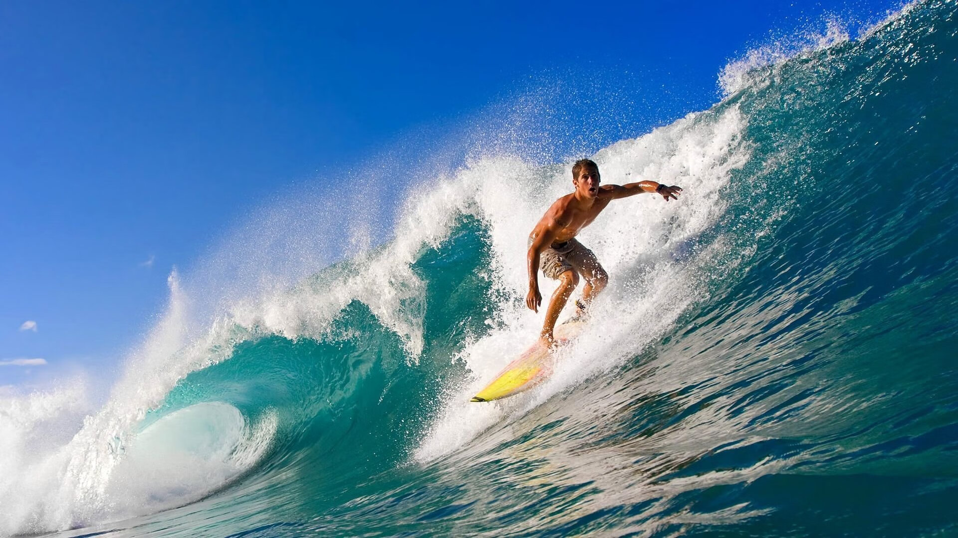 kaiyun网址-“武汉马拉松：全球马拉松爱好者齐聚赛场”